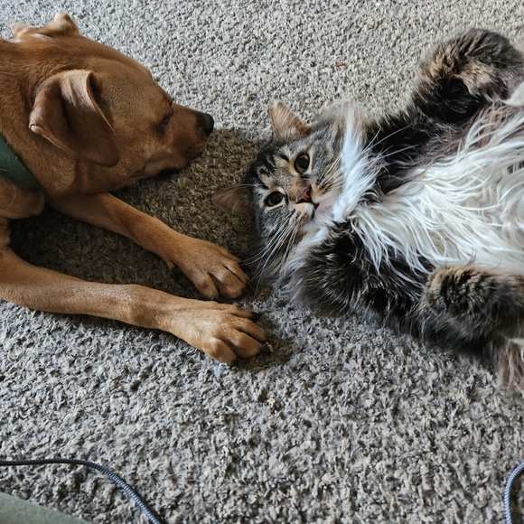 Intention jars - Picture 7 of 17